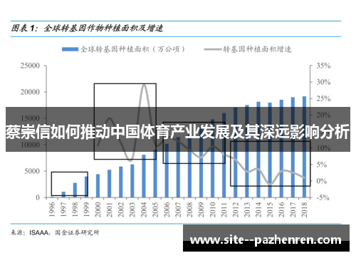 蔡崇信如何推动中国体育产业发展及其深远影响分析