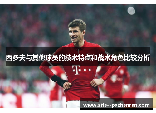 西多夫与其他球员的技术特点和战术角色比较分析 西多夫与其他球员的技术特点和战术角色比较分析